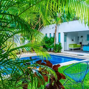 Casa Borush By Ecoplaneta Guest house