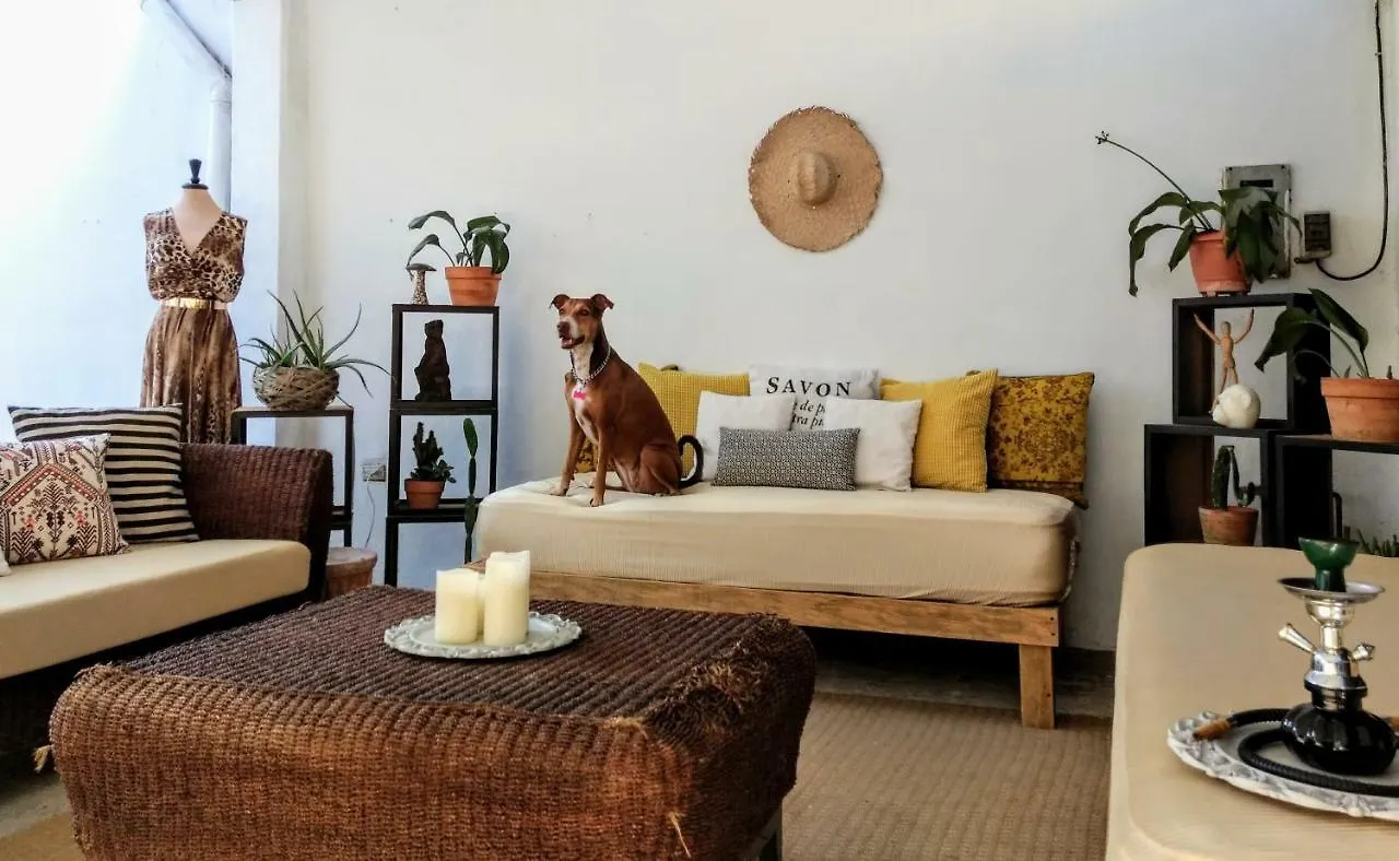 Residencia Artistica Hotel Cancun Mexico